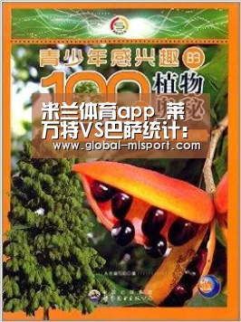 米兰体育